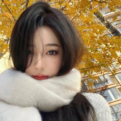 白鸥啊 不要飞起来